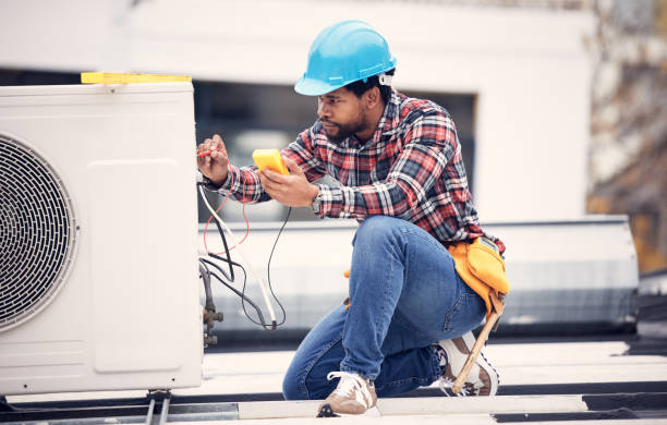 Best Electrical System Inspection  in Sesser, IL
